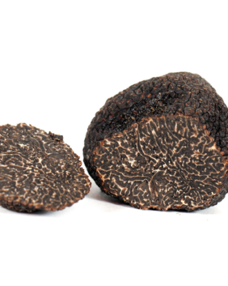 Black winter truffle Tuber Melanosporum